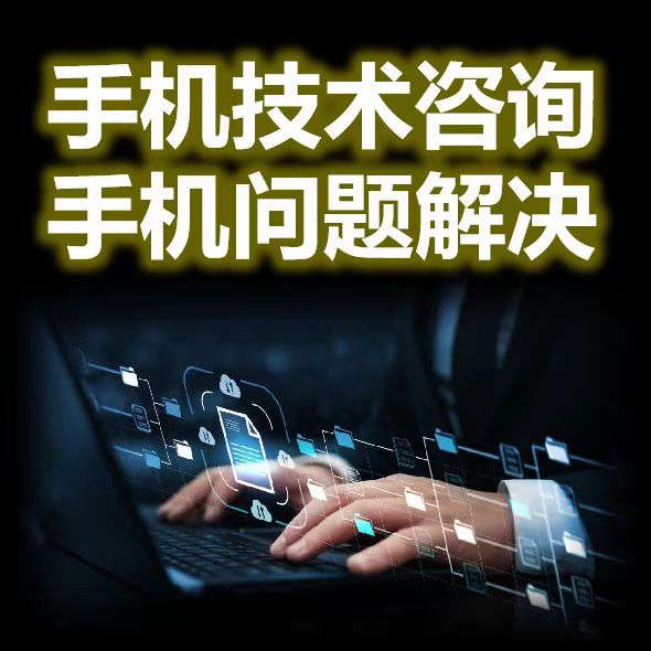技术咨询问题解决远程指导软件开发建站运维专拍
